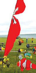 ND Kite Festival
